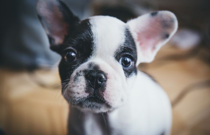 Laguna Nivara Laguna Nivara